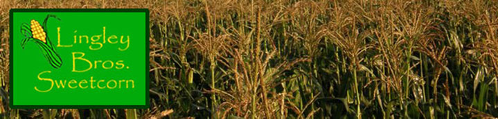 Lingley Bros. Sweetcorn